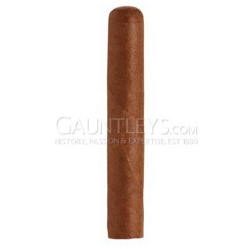 Hoyo De Monterrey Epicure No 2 - Single